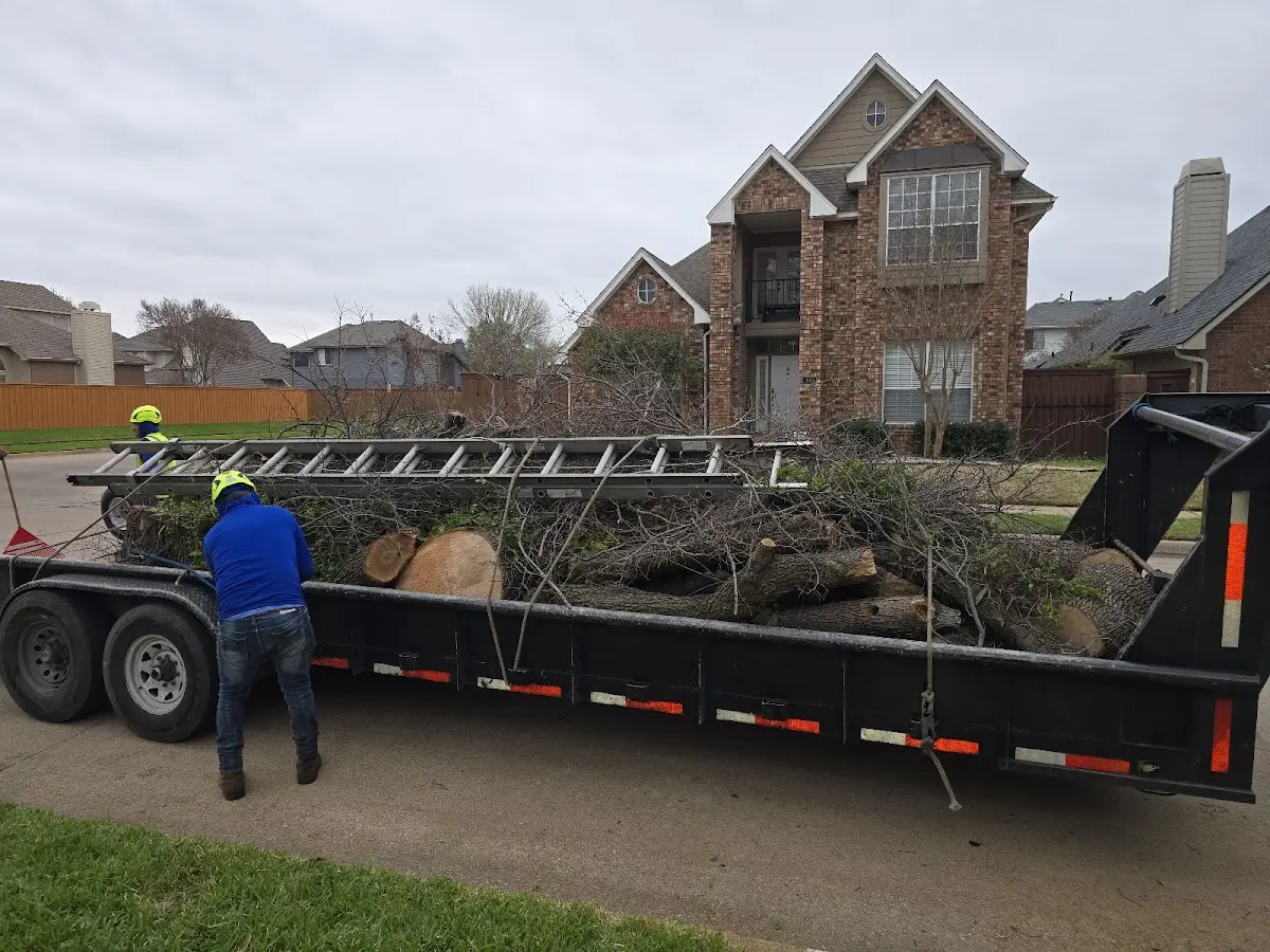 Expert Lot Clearing with proper safety equipment in Joppa